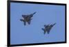 USA, Oregon, Hillsboro, F-15C Eagles.-Rick A Brown-Framed Photographic Print