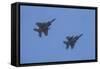 USA, Oregon, Hillsboro, F-15C Eagles.-Rick A Brown-Framed Stretched Canvas