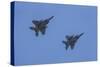 USA, Oregon, Hillsboro, F-15C Eagles.-Rick A Brown-Stretched Canvas