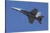 USA, Oregon, Hillsboro, FA-18F Super Hornet.-Rick A Brown-Stretched Canvas