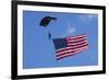 USA, Oregon, Hillsboro, Skydiver with is parachute deployed-Rick A Brown-Framed Photographic Print