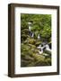 USA, Oregon, Hood River. A waterfall on Tish Creek.-Christopher Reed-Framed Photographic Print