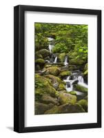 USA, Oregon, Hood River. A waterfall on Tish Creek.-Christopher Reed-Framed Photographic Print