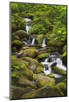 USA, Oregon, Hood River. A waterfall on Tish Creek.-Christopher Reed-Mounted Photographic Print