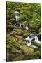 USA, Oregon, Hood River. A waterfall on Tish Creek.-Christopher Reed-Stretched Canvas