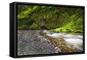 USA, Oregon, Hood River County. Eagle Creek just below Punchbowl Falls.-Christopher Reed-Framed Stretched Canvas