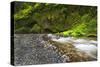 USA, Oregon, Hood River County. Eagle Creek just below Punchbowl Falls.-Christopher Reed-Stretched Canvas