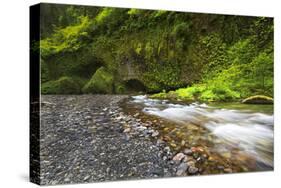 USA, Oregon, Hood River County. Eagle Creek just below Punchbowl Falls.-Christopher Reed-Stretched Canvas