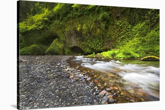 USA, Oregon, Hood River County. Eagle Creek just below Punchbowl Falls.-Christopher Reed-Stretched Canvas