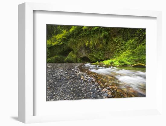 USA, Oregon, Hood River County. Eagle Creek just below Punchbowl Falls.-Christopher Reed-Framed Photographic Print