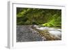 USA, Oregon, Hood River County. Eagle Creek just below Punchbowl Falls.-Christopher Reed-Framed Photographic Print