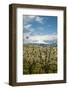 USA, Oregon, Hood River. Mt. Hood Looms over Apple Orchard-Richard Duval-Framed Photographic Print