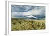 USA, Oregon, Hood River. Mt. Hood Looms over Apple Orchard-Richard Duval-Framed Photographic Print