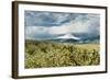 USA, Oregon, Hood River. Mt. Hood Looms over Apple Orchard-Richard Duval-Framed Photographic Print