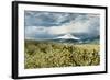 USA, Oregon, Hood River. Mt. Hood Looms over Apple Orchard-Richard Duval-Framed Photographic Print