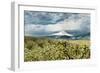 USA, Oregon, Hood River. Mt. Hood Looms over Apple Orchard-Richard Duval-Framed Photographic Print