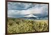 USA, Oregon, Hood River. Mt. Hood Looms over Apple Orchard-Richard Duval-Framed Photographic Print