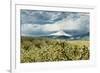 USA, Oregon, Hood River. Mt. Hood Looms over Apple Orchard-Richard Duval-Framed Photographic Print