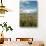USA, Oregon, Hood River. Mt. Hood Looms over Apple Orchard-Richard Duval-Stretched Canvas displayed on a wall