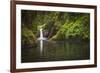 USA, Oregon, Hood River. Punch Bowl Falls along Eagle Creek in the Columbia River Gorge.-Christopher Reed-Framed Premium Photographic Print