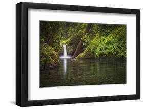 USA, Oregon, Hood River. Punch Bowl Falls along Eagle Creek in the Columbia River Gorge.-Christopher Reed-Framed Photographic Print