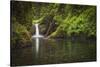 USA, Oregon, Hood River. Punch Bowl Falls along Eagle Creek in the Columbia River Gorge.-Christopher Reed-Stretched Canvas