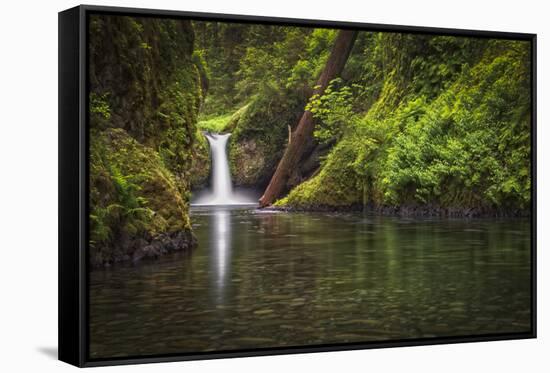 USA, Oregon, Hood River. Punch Bowl Falls along Eagle Creek in the Columbia River Gorge.-Christopher Reed-Framed Stretched Canvas