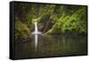 USA, Oregon, Hood River. Punch Bowl Falls along Eagle Creek in the Columbia River Gorge.-Christopher Reed-Framed Stretched Canvas