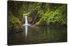 USA, Oregon, Hood River. Punch Bowl Falls along Eagle Creek in the Columbia River Gorge.-Christopher Reed-Stretched Canvas