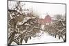 USA, Oregon, Hood River. Snow covered Apple Trees and Barn.-Stuart Westmorland-Mounted Photographic Print