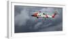 USA, Oregon, Hood River, Us Coast Guard Hh60 Jayhawk-Rick A. Brown-Framed Photographic Print