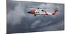 USA, Oregon, Hood River, Us Coast Guard Hh60 Jayhawk-Rick A. Brown-Mounted Premium Photographic Print