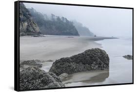 USA, Oregon. Hug Point State Park, foggy beach.-Rob Tilley-Framed Stretched Canvas