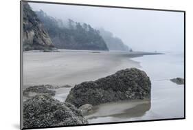 USA, Oregon. Hug Point State Park, foggy beach.-Rob Tilley-Mounted Photographic Print