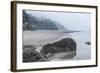 USA, Oregon. Hug Point State Park, foggy beach.-Rob Tilley-Framed Photographic Print