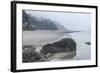 USA, Oregon. Hug Point State Park, foggy beach.-Rob Tilley-Framed Photographic Print