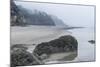 USA, Oregon. Hug Point State Park, foggy beach.-Rob Tilley-Mounted Photographic Print