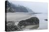 USA, Oregon. Hug Point State Park, foggy beach.-Rob Tilley-Stretched Canvas