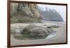 USA, Oregon. Hug Point State Park, foggy beach.-Rob Tilley-Framed Photographic Print