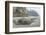 USA, Oregon. Hug Point State Park, foggy beach.-Rob Tilley-Framed Photographic Print