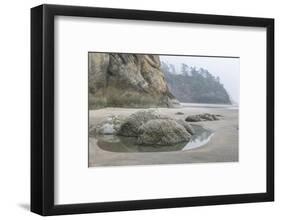 USA, Oregon. Hug Point State Park, foggy beach.-Rob Tilley-Framed Photographic Print