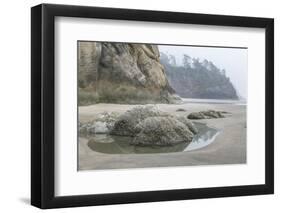 USA, Oregon. Hug Point State Park, foggy beach.-Rob Tilley-Framed Photographic Print