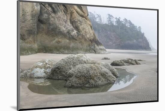 USA, Oregon. Hug Point State Park, foggy beach.-Rob Tilley-Mounted Photographic Print