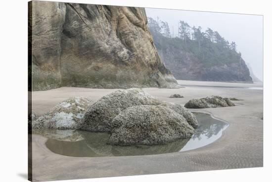 USA, Oregon. Hug Point State Park, foggy beach.-Rob Tilley-Stretched Canvas