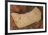 USA, Oregon, John Day Fossil Beds National Monument. Rock with plant fossils.-Jaynes Gallery-Framed Photographic Print