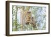 USA, Oregon. Juvenile Great horned owls.-Yuri Choufour-Framed Photographic Print