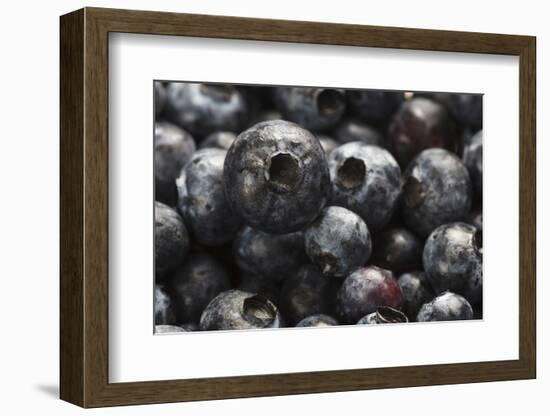 USA, Oregon, Keizer, Blueberries-Rick A. Brown-Framed Photographic Print