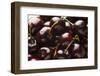 USA, Oregon, Keizer, Dark Cherries-Rick A. Brown-Framed Photographic Print