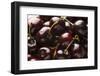 USA, Oregon, Keizer, Dark Cherries-Rick A. Brown-Framed Photographic Print