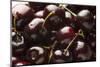 USA, Oregon, Keizer, Dark Cherries-Rick A. Brown-Mounted Photographic Print